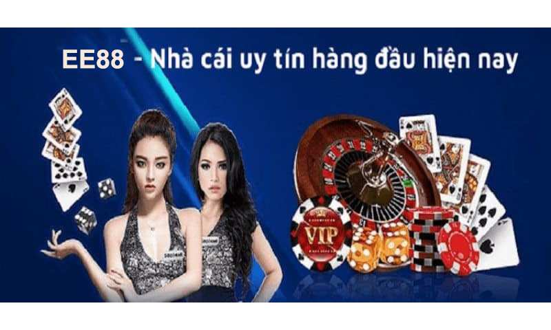 Điều khoản và điều kiện